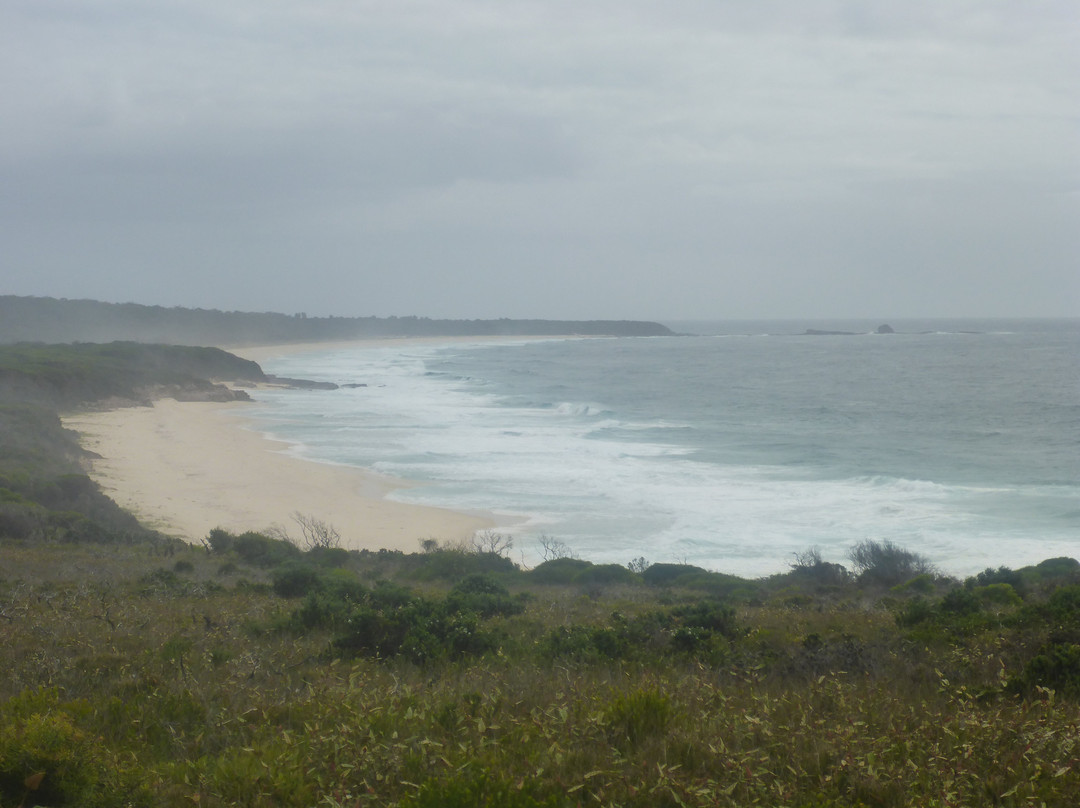 Pinnacles Beach-伊登港必去景点