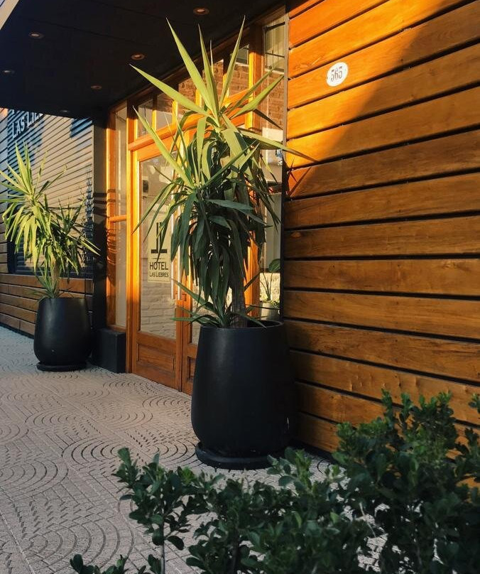 Hotel Las Liebres主图