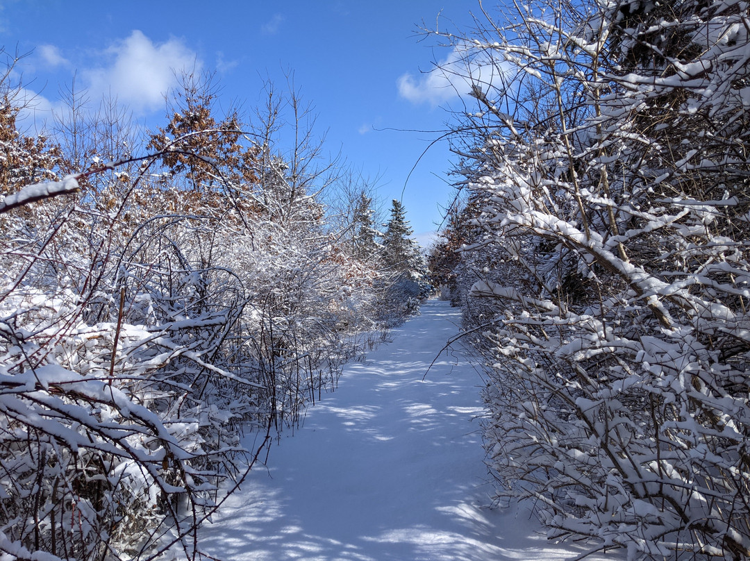 Spruce Acres Farm Trail-米德尔敦必去景点