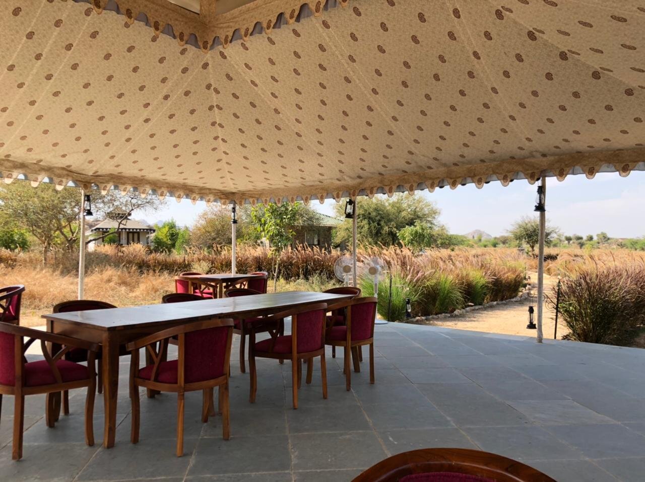 Jawai Leopard Safari Lodge-餐饮