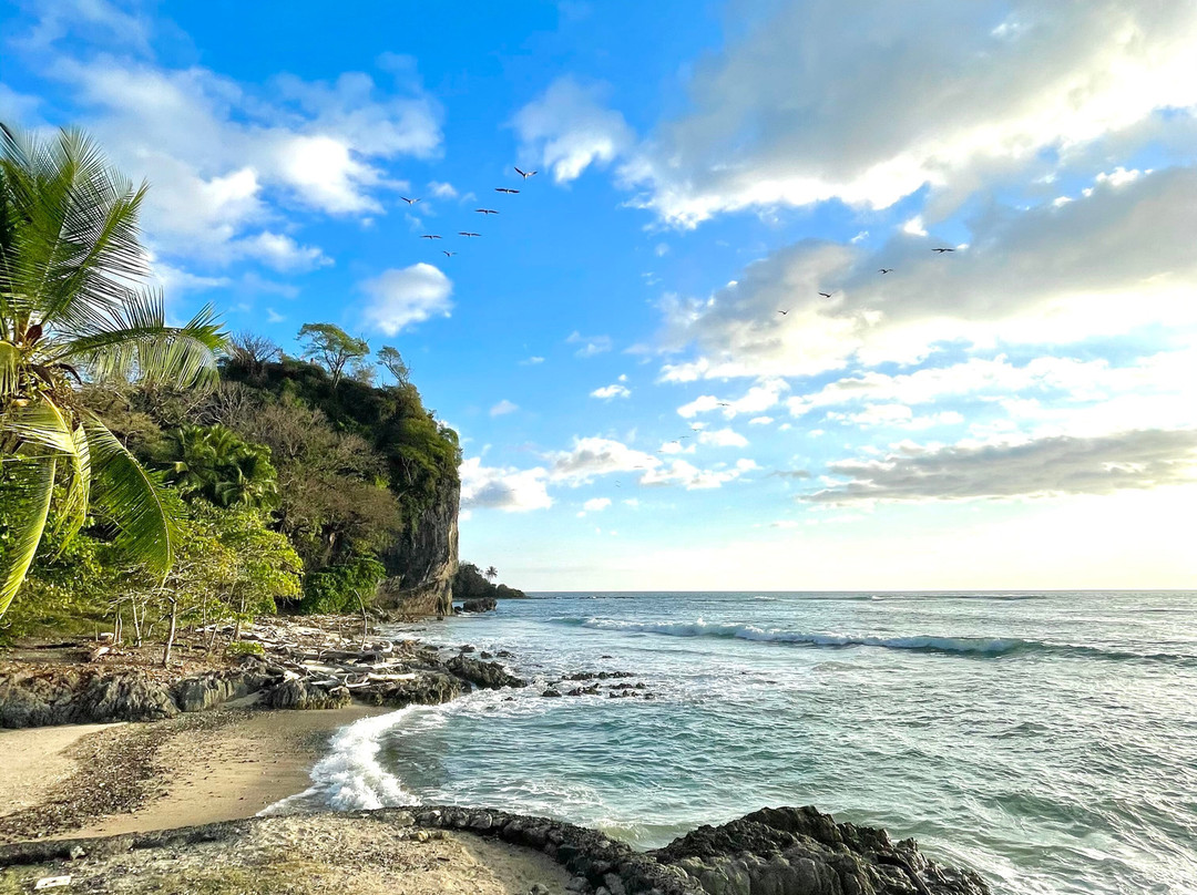 Ollie's Adventures-圣特雷莎必去景点