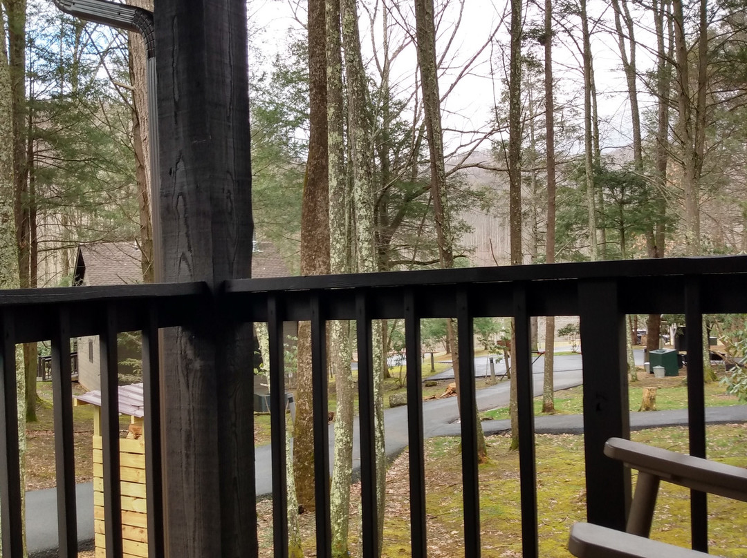Roan Mountain State Park景点图片