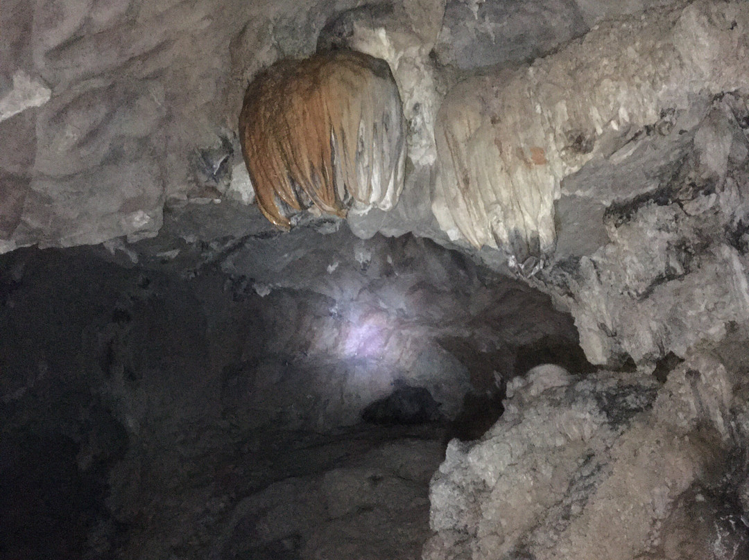 Parque Municipal Gruta Do Bacaetava-Colombo必去景点