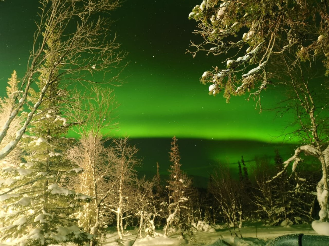 Kola Expeditions - Day Tours景点图片