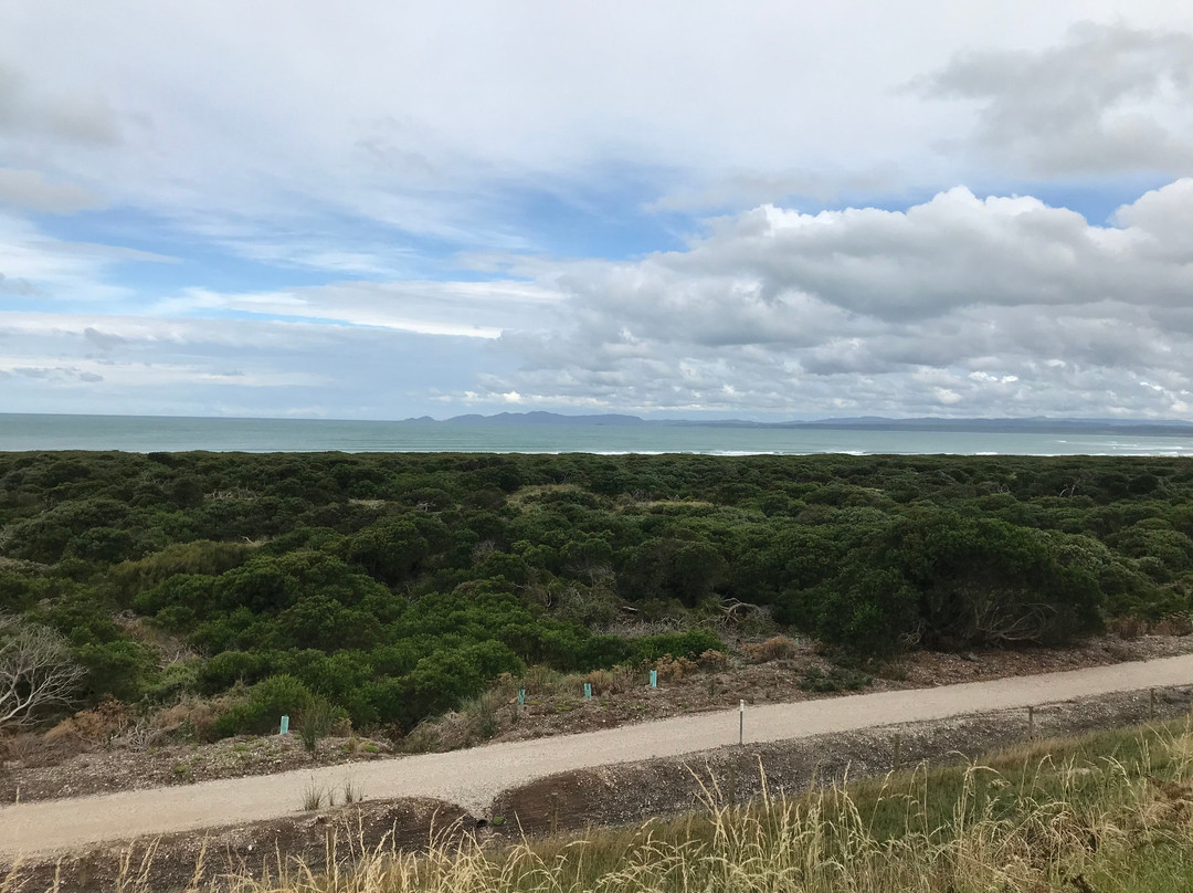Trethewies Lookout-斯坦利必去景点