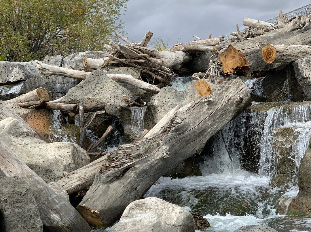 Snake River Ferry-爱达荷福尔斯必去景点