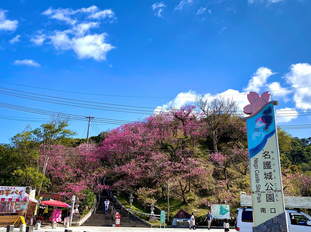 Nago Castle Historical Park-名护市必去景点