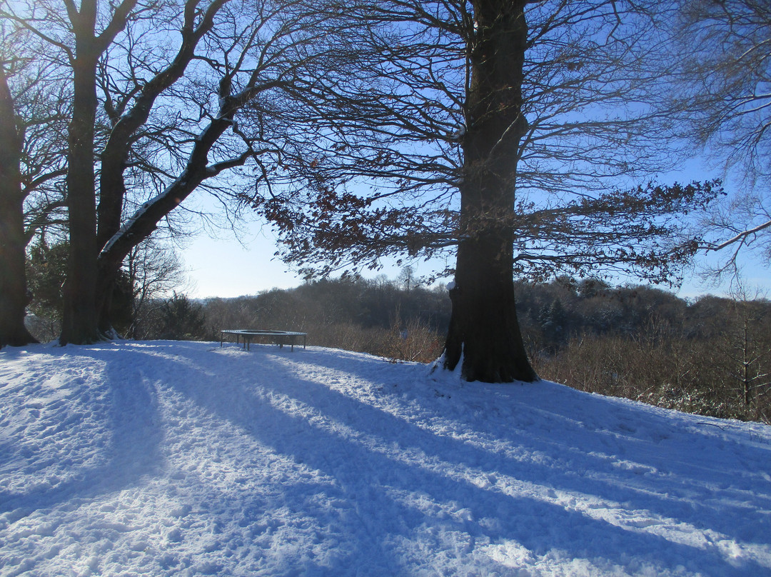 The Deepdene Trail景点图片