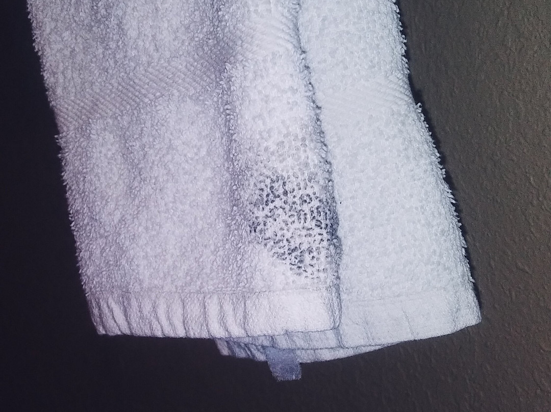 Majestic Inn & Suites主图