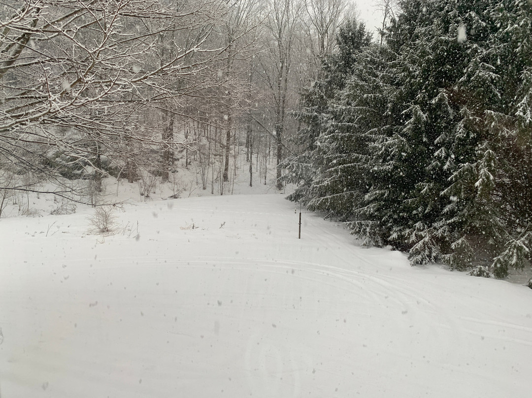 The Chase House Inn主图