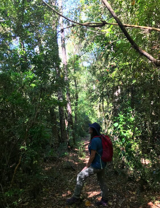 Reserva Natural El Triwe-Frutillar必去景点