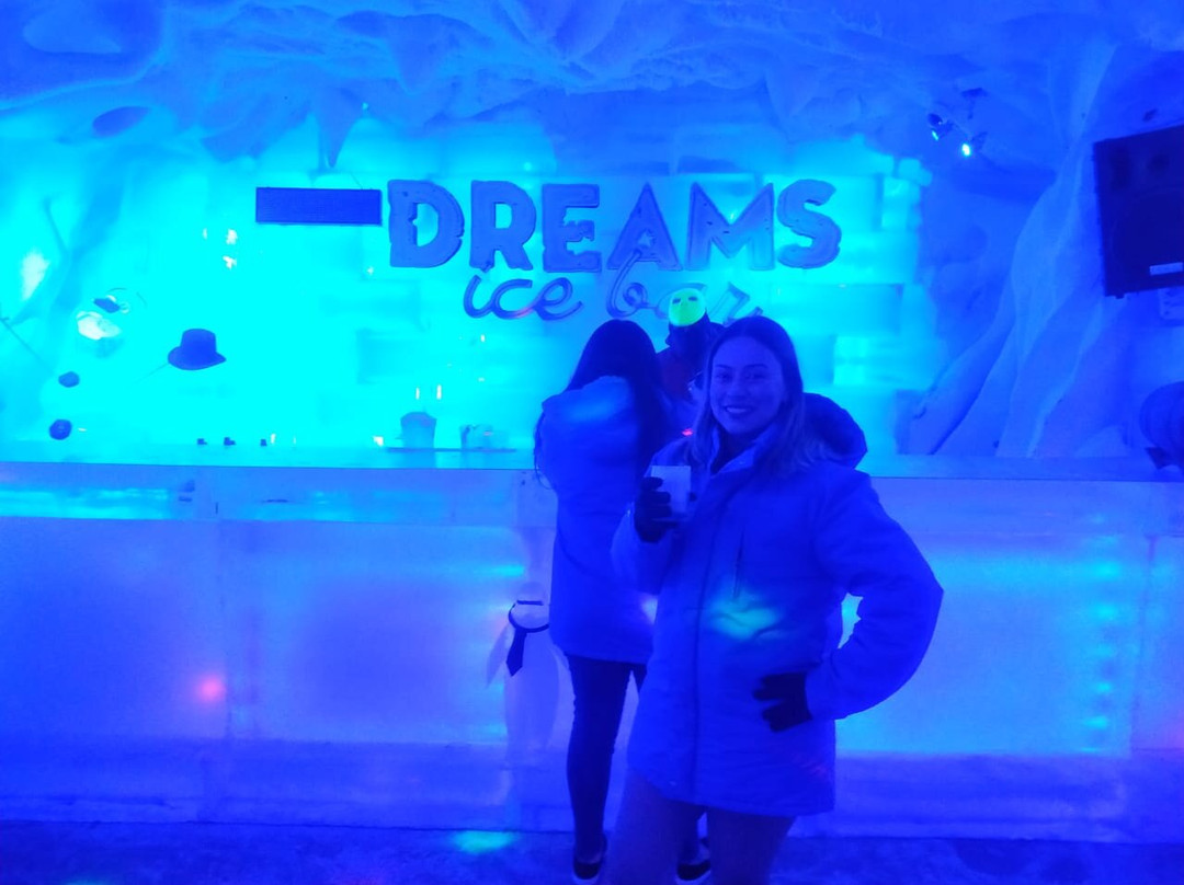 Dreams Ice Bar-伊瓜苏必去景点