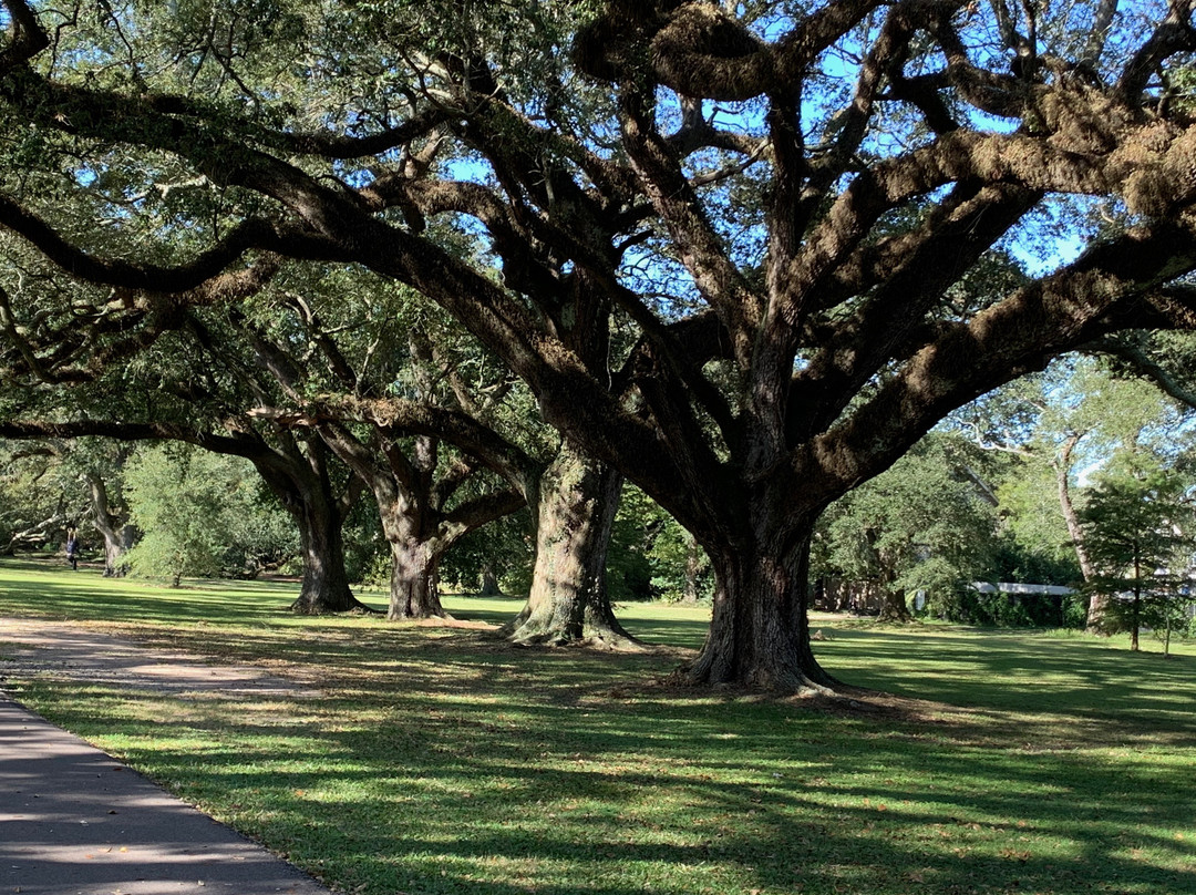 Park View Historic Hotel and Guest House主图