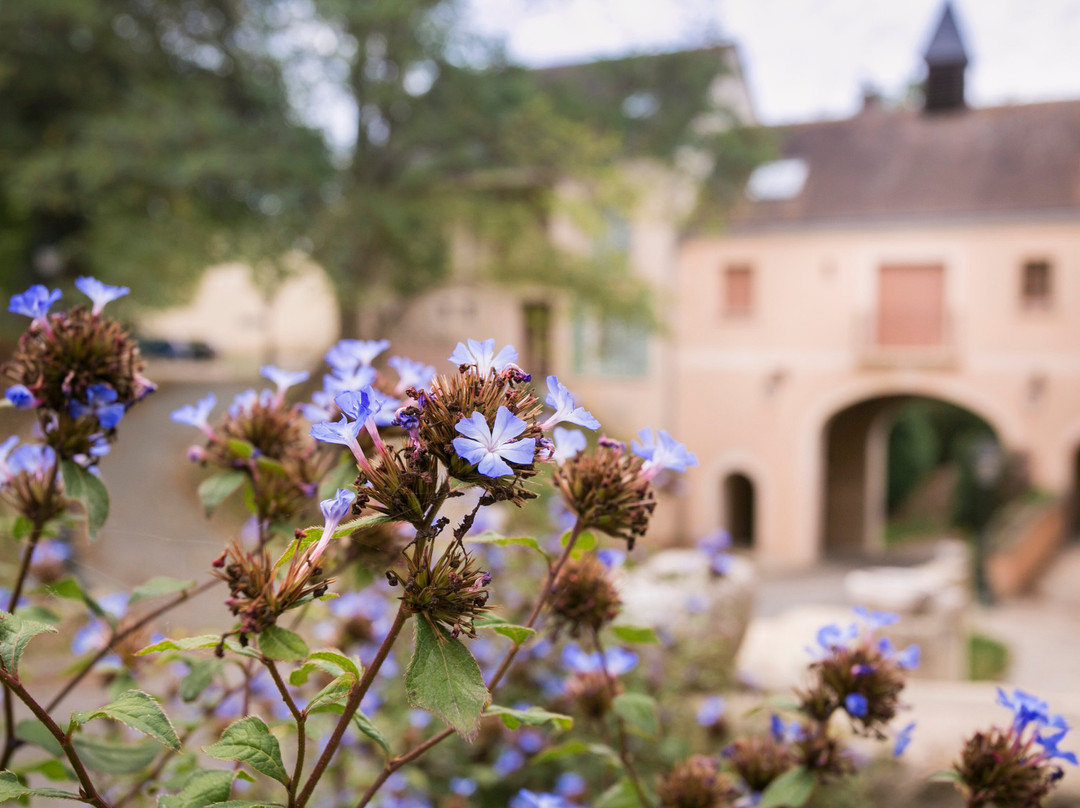 Normandy Country Club Hotel & Restaurant主图