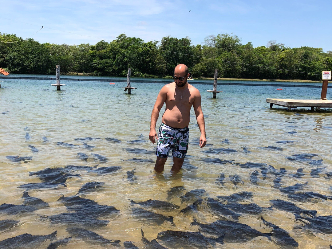 Bonito-MS-博尼图必去景点