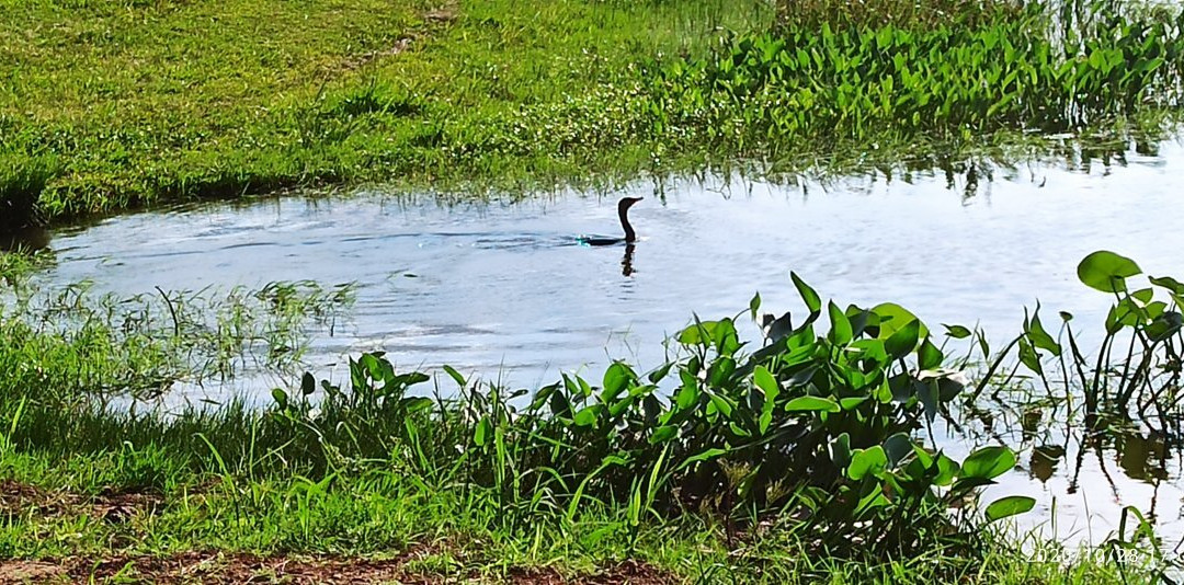 Ipora-Balneario Ipora必去景点