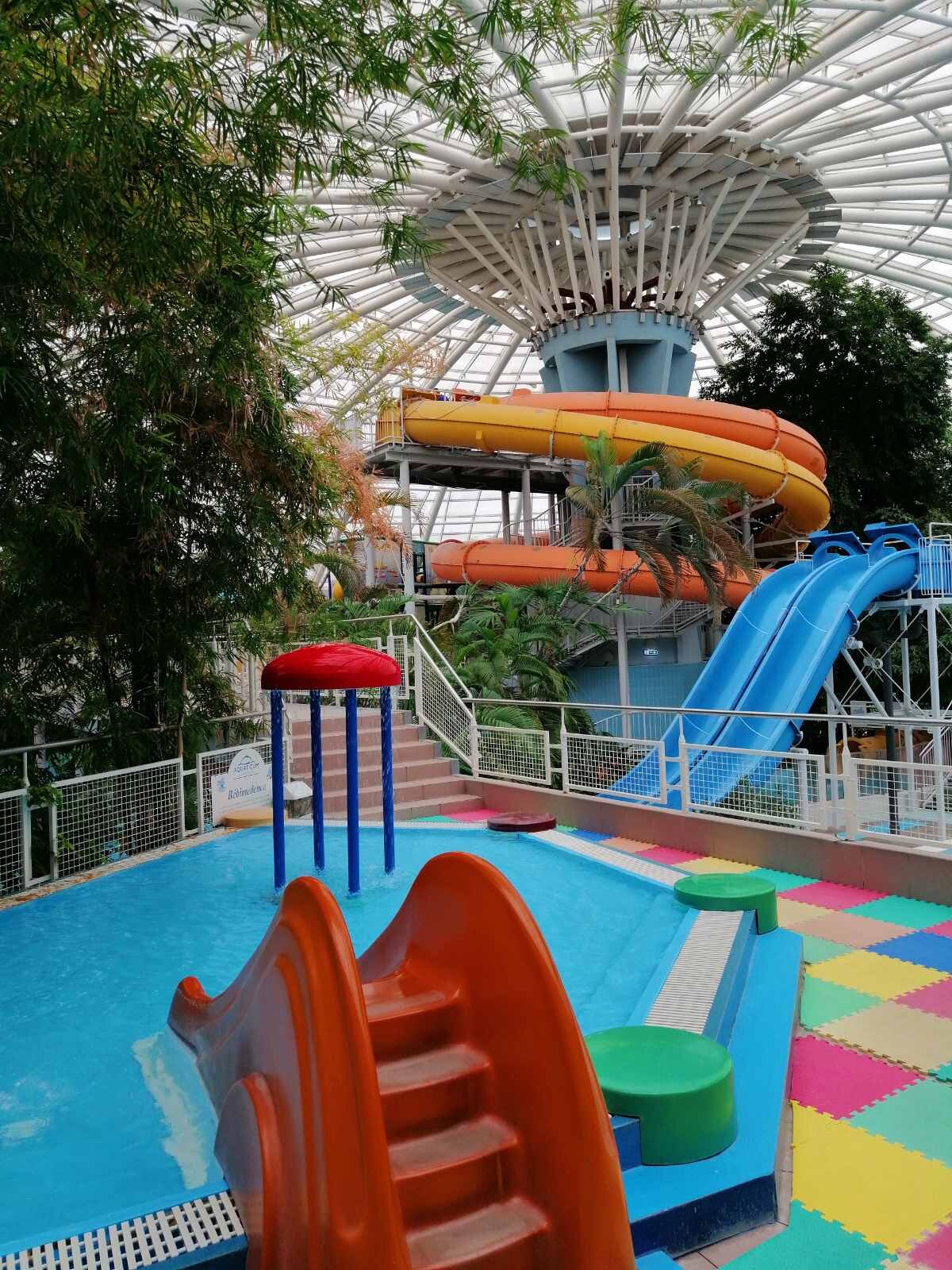 Aquaticum Debrecen Thermal and Wellness Hotel-泳池
