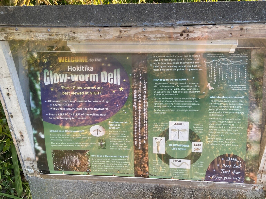 萤火虫谷景点图片