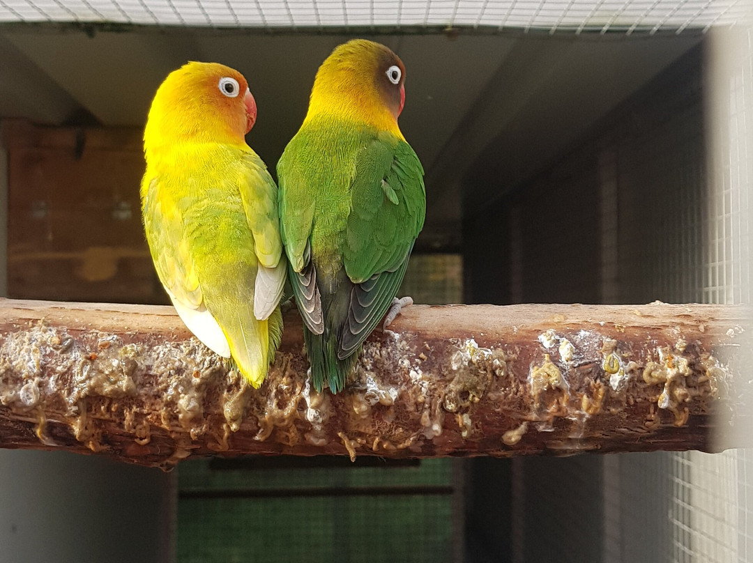 C & J's Animal Park景点图片