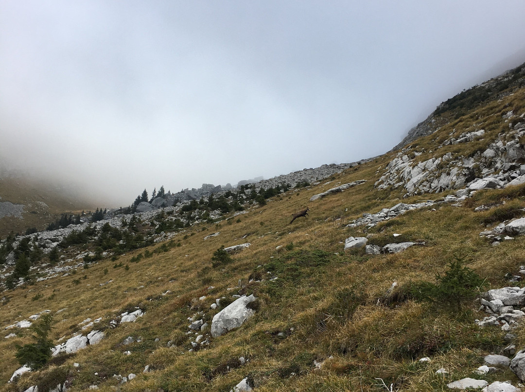 Via Ferrata Yves Pollet-Villard景点图片