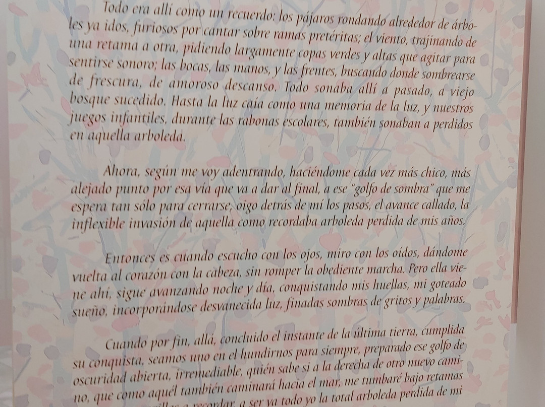 Museo Fundacion Rafael Alberti景点图片