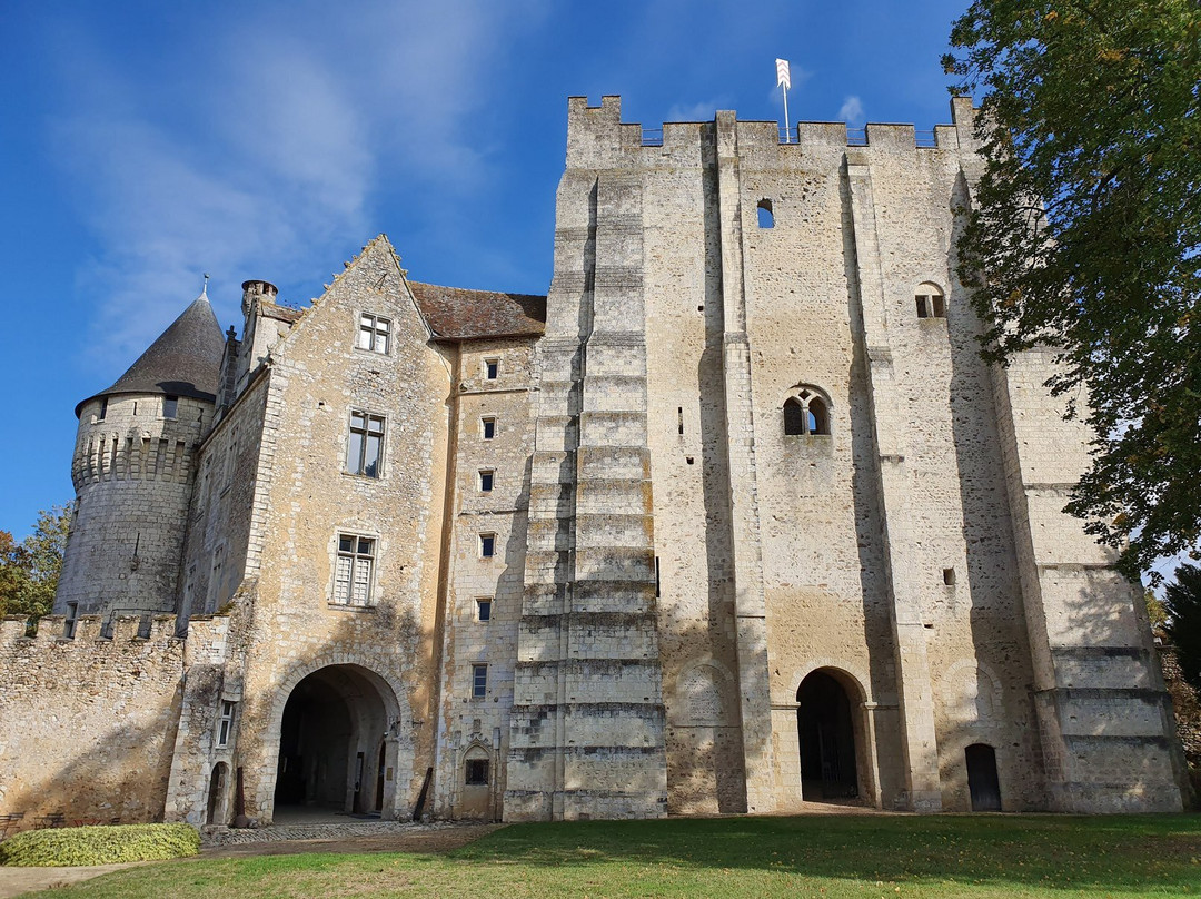 Château des Comtes du Perche景点图片