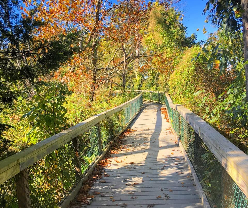 Mason Neck State Park-Lorton必去景点