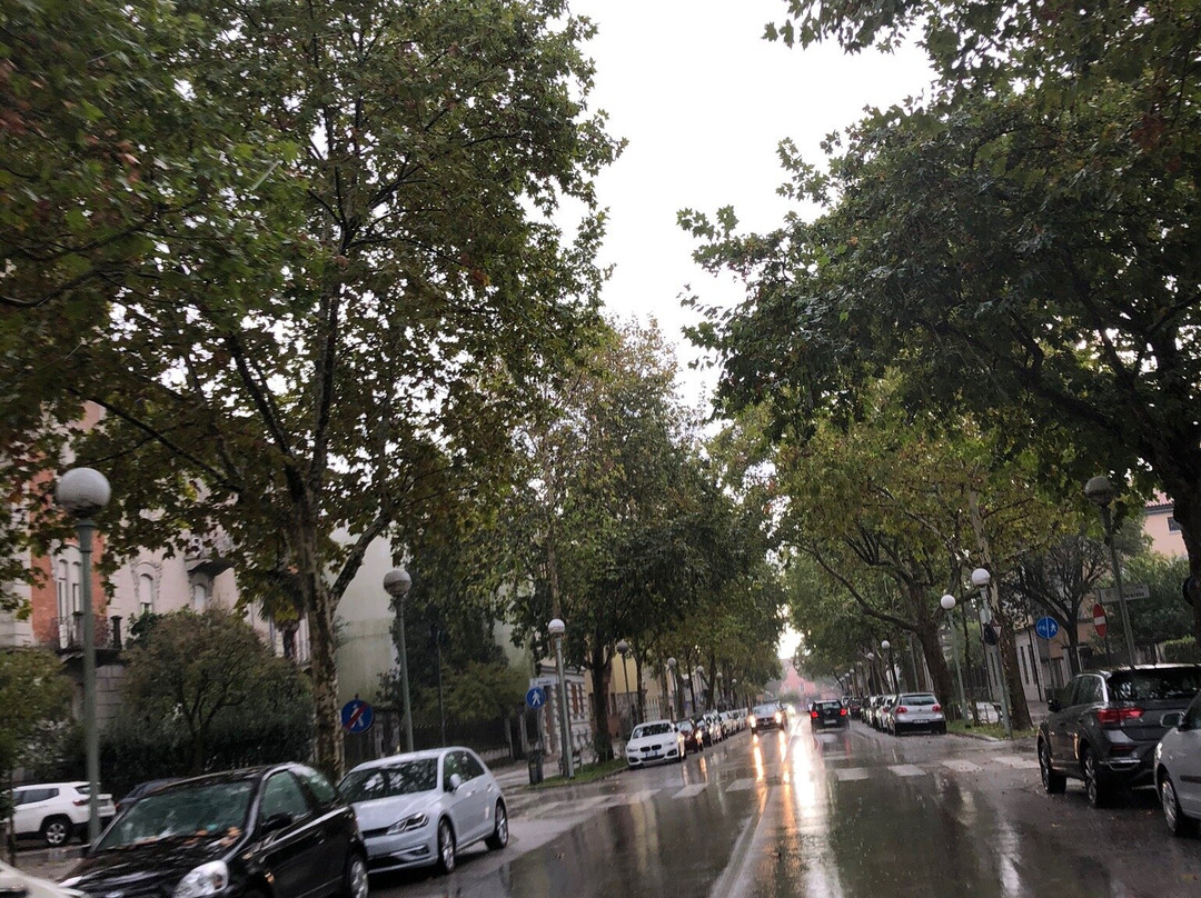 Corso Italia景点图片