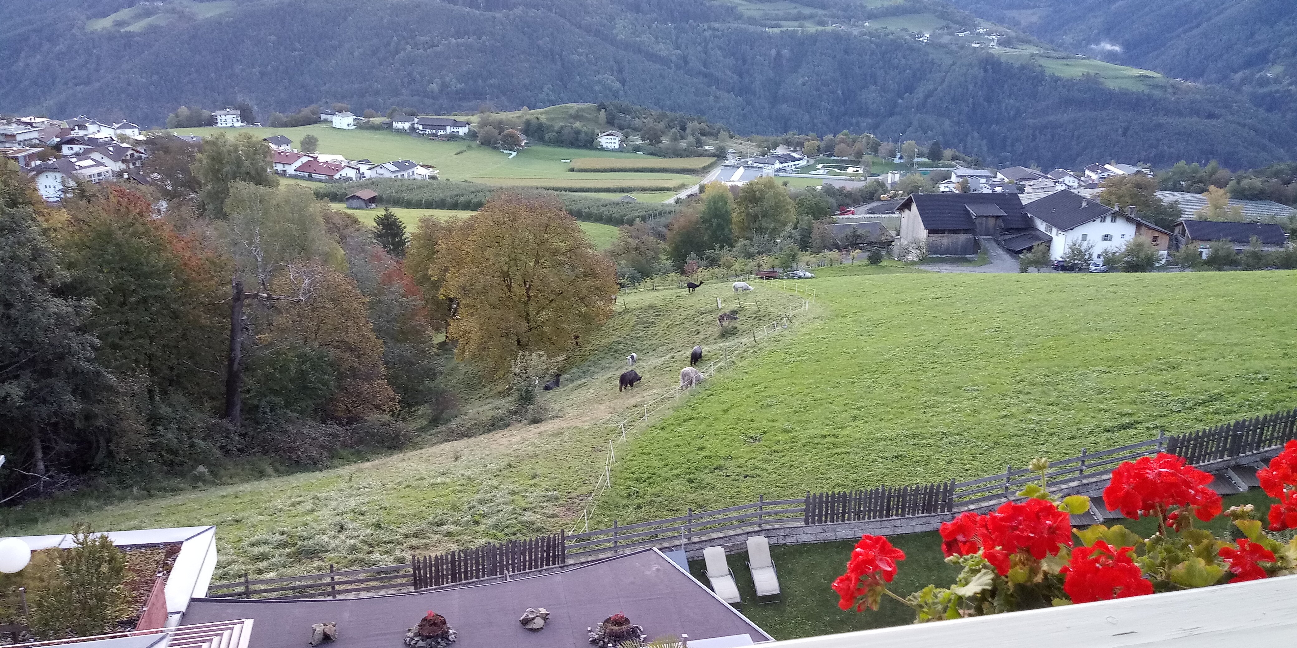 Feldthurnerhof Vinum-natur-relax-酒店景观