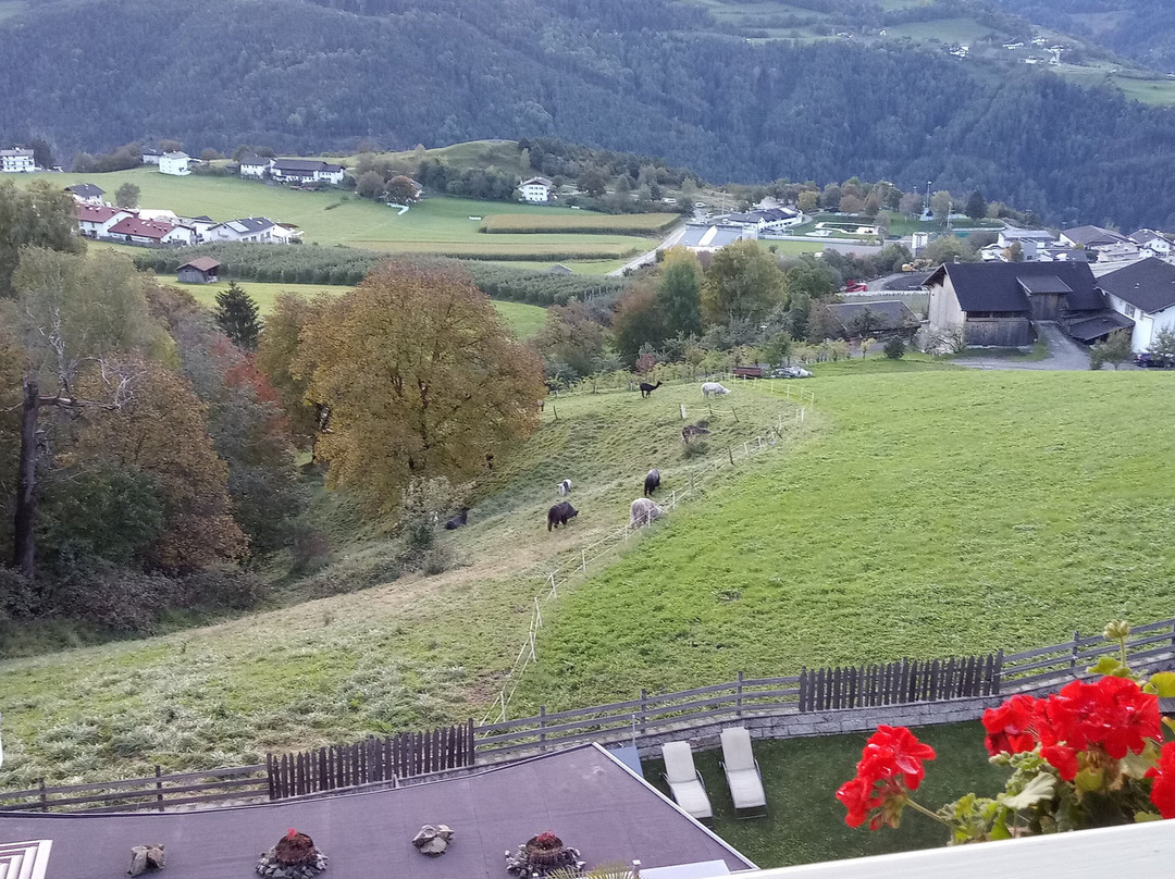 Feldthurnerhof Vinum-natur-relax主图