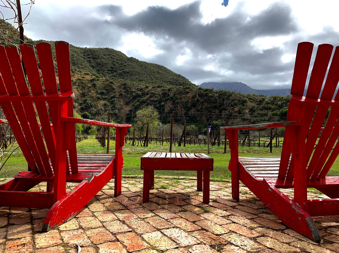 Peter Bayly Wines-Calitzdorp必去景点