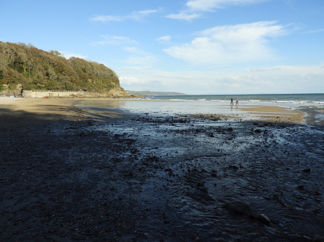 Coppet Hall Beach景点图片