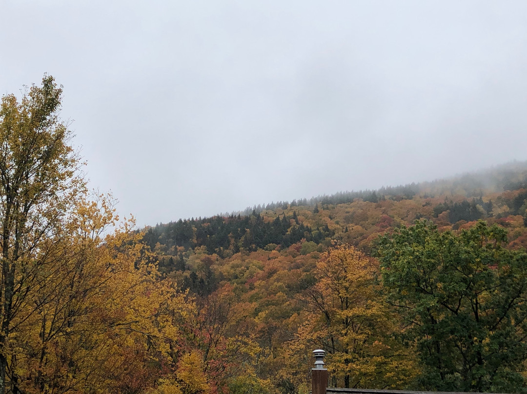 Menla Retreat & Spa主图