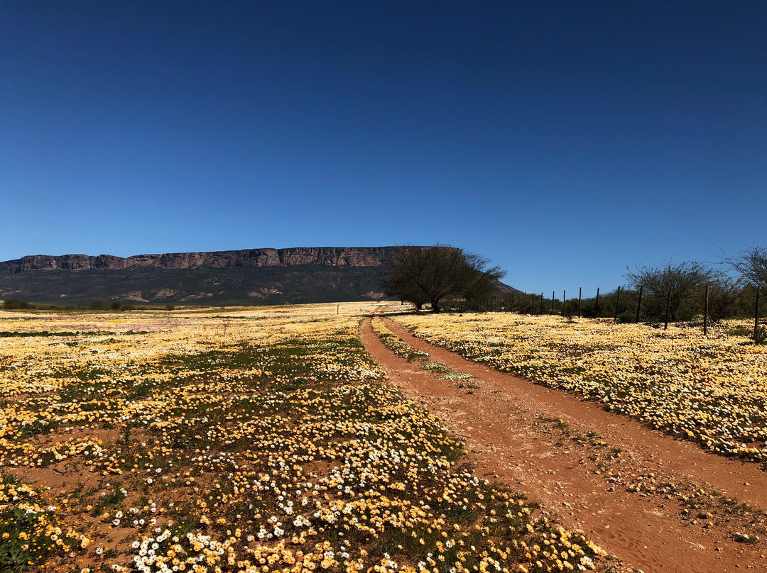 Vanrhynsdorp旅游攻略图片