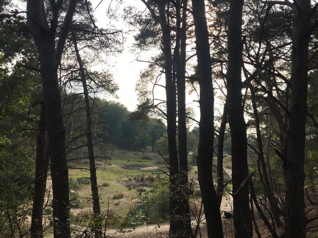 Natuurcentrum De Maashorst景点图片
