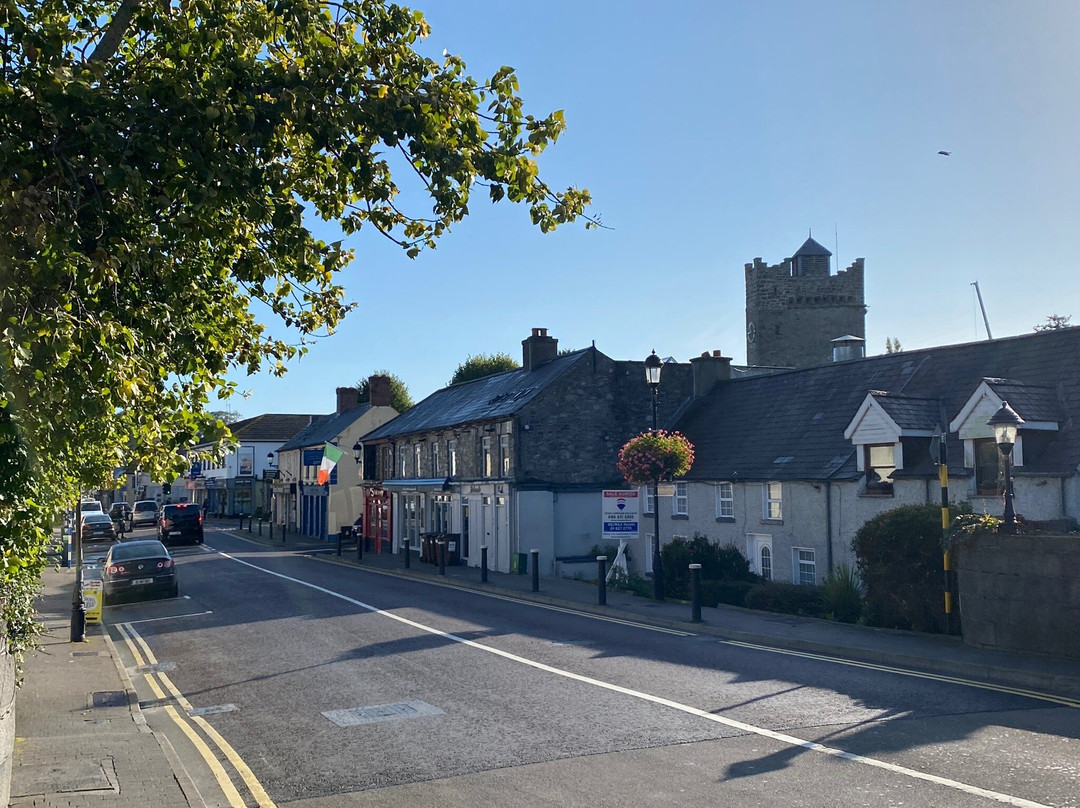 Discover Leixlip Walking Tours-Leixlip必去景点