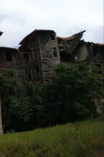 Büyükada Rum Yetimhanesi-布尤卡达必去景点