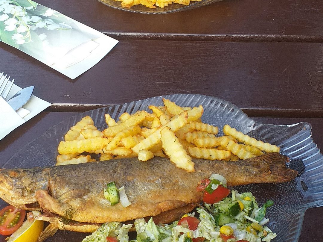 Radwanowice旅游攻略图片