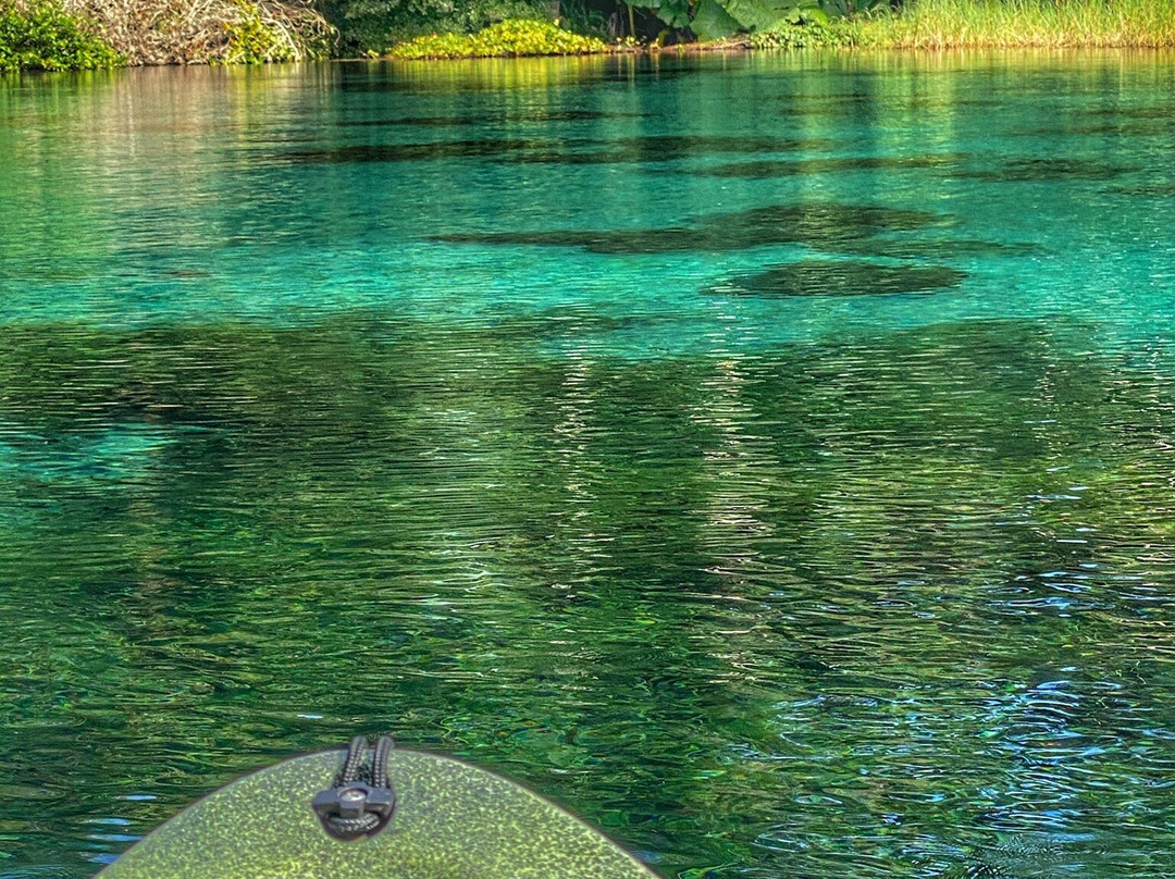 Rainbow River Canoe and Kayak-Dunnellon必去景点