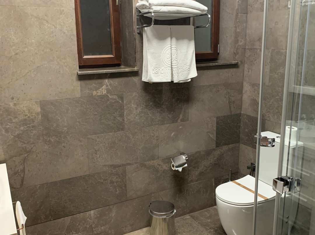 Bandırma Palas Hotel主图