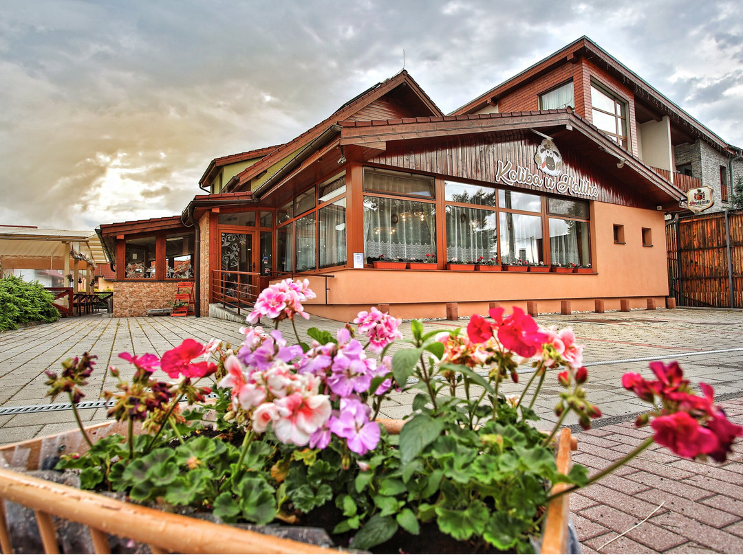 Demanova旅游攻略图片