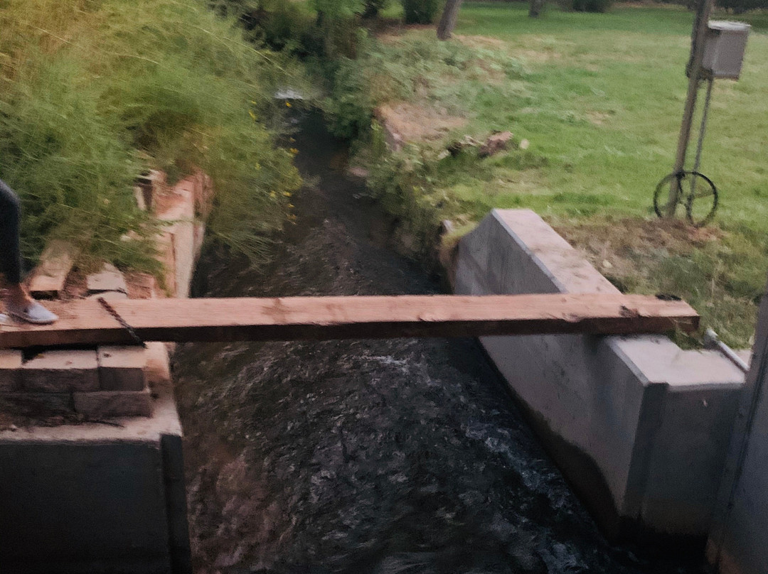 Sycamore Springs Guest House主图