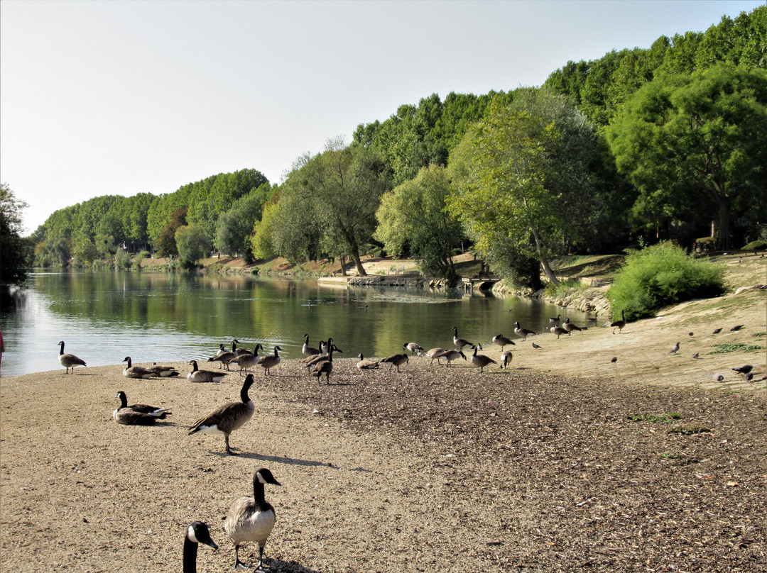 Réserve Naturelle Régionale Des Îles De Chelles景点图片