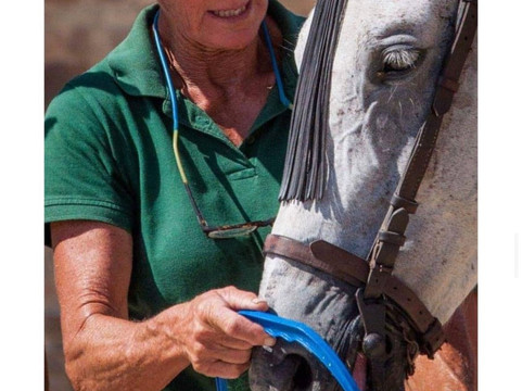 Centro Hipico El Jibbah-Barbate必去景点