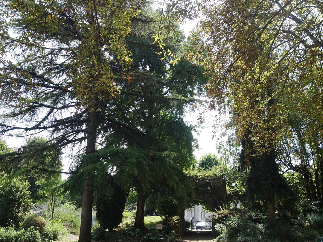 Jardin Des Arenes Romaines景点图片