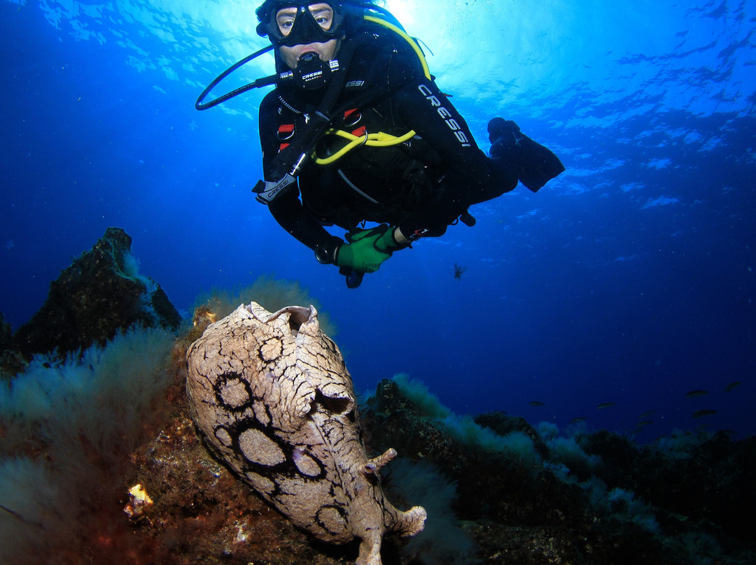 Fan Diving Hierro-La Restinga必去景点