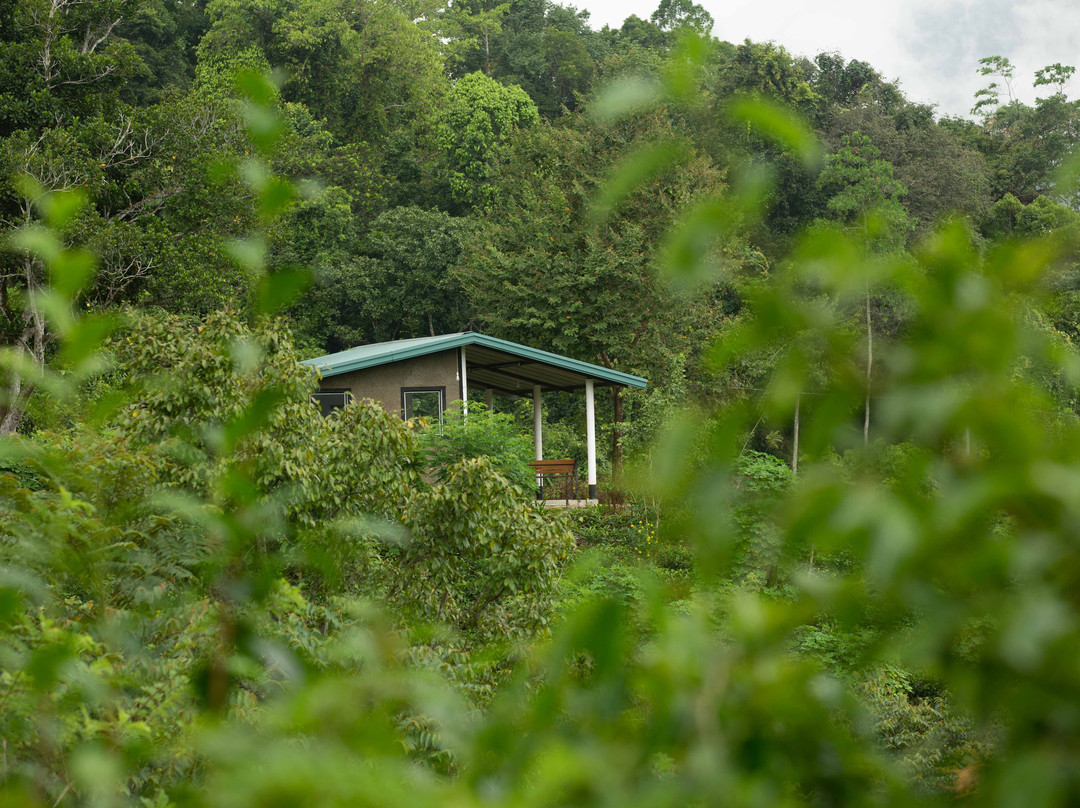 Mount K Resort主图