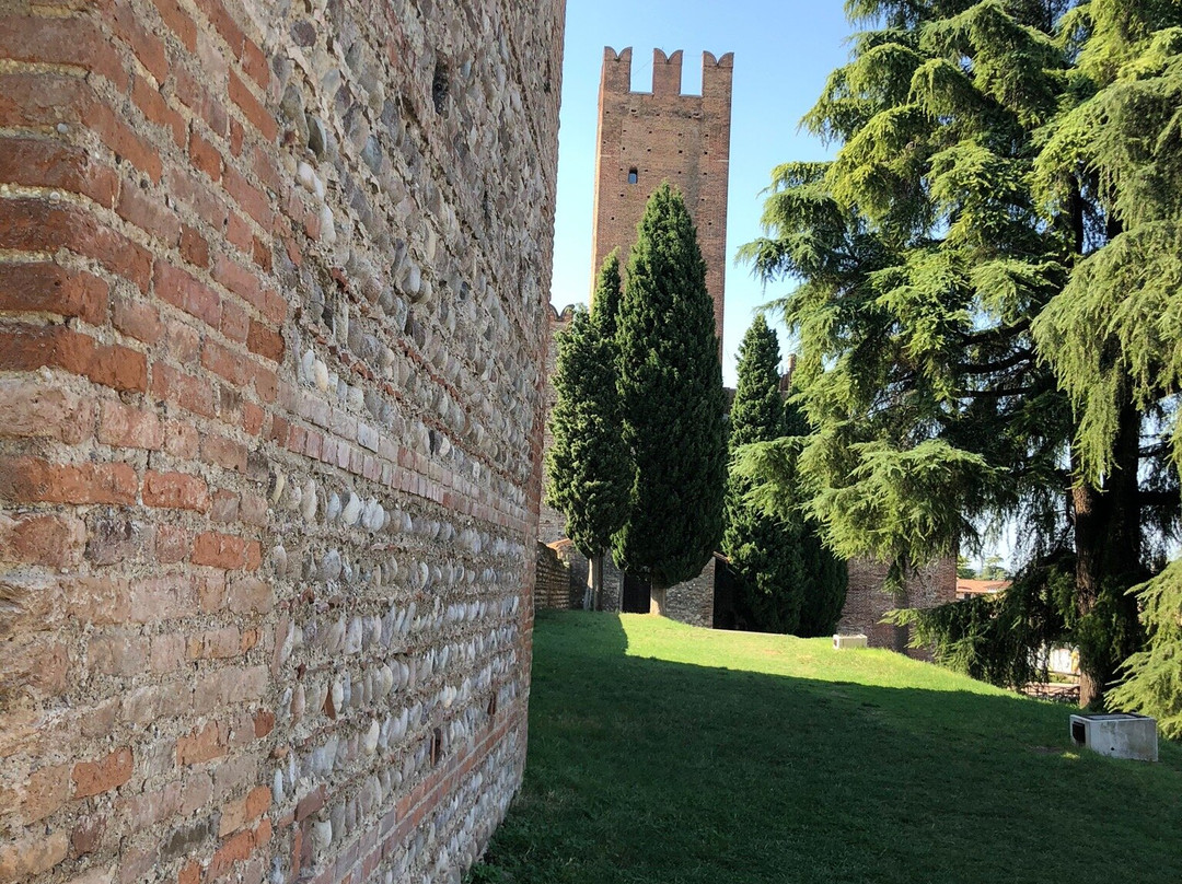 Castello Scaligero di Villafranca景点图片