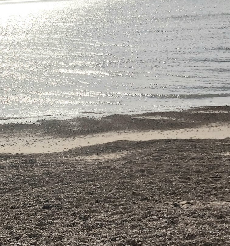 Dovercourt Bay Beach景点图片