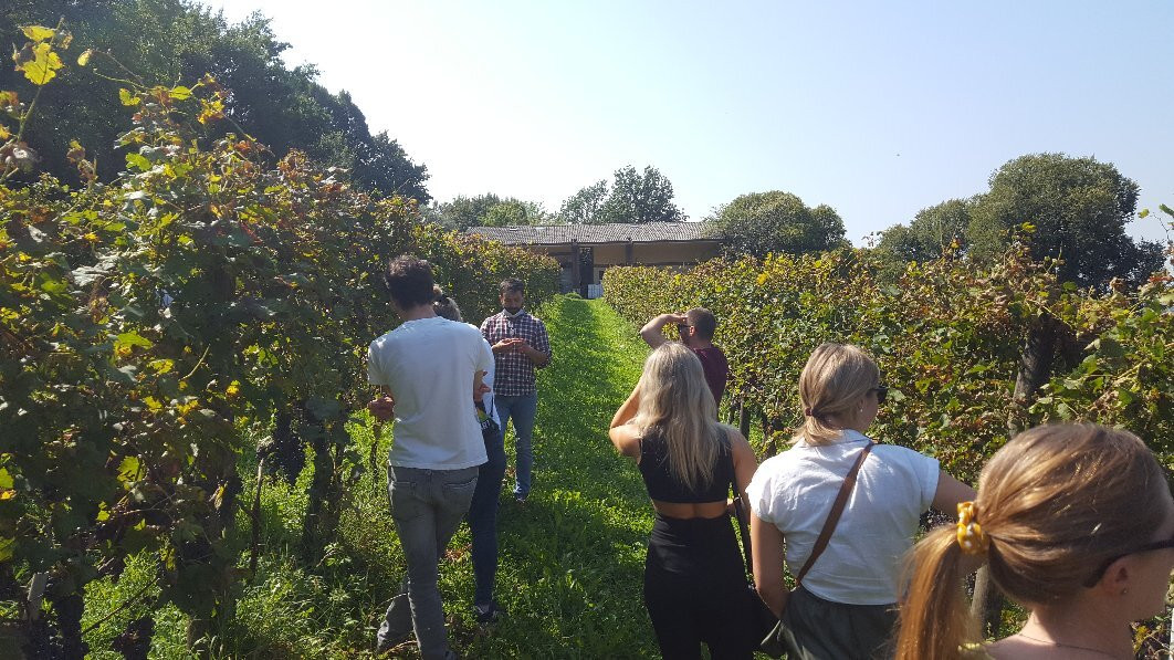 Cascina Belmonte景点图片